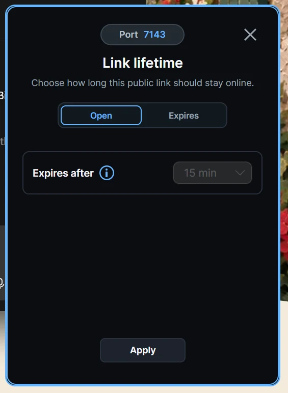Link lifetime dialog with open-ended and expiring sharing options